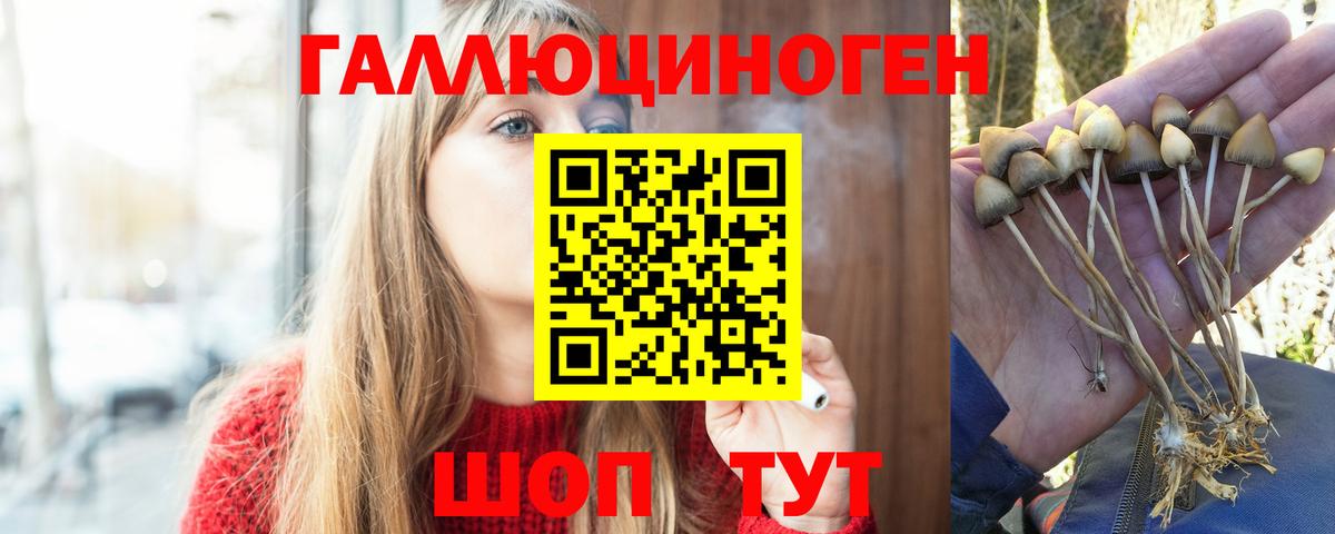 Галлюциногенные грибы GOLDEN TEACHER Гусиноозёрск
