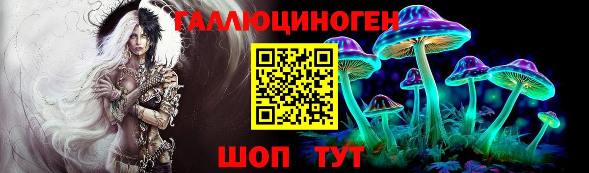 Псилоцибиновые грибы мицелий  Вход с VPN  хочу наркоту  Гусиноозёрск 